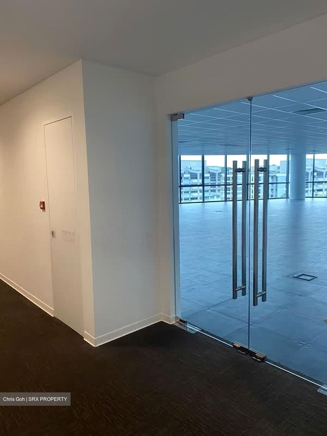 Woodlands Avenue 5 (D25), Office #568698241